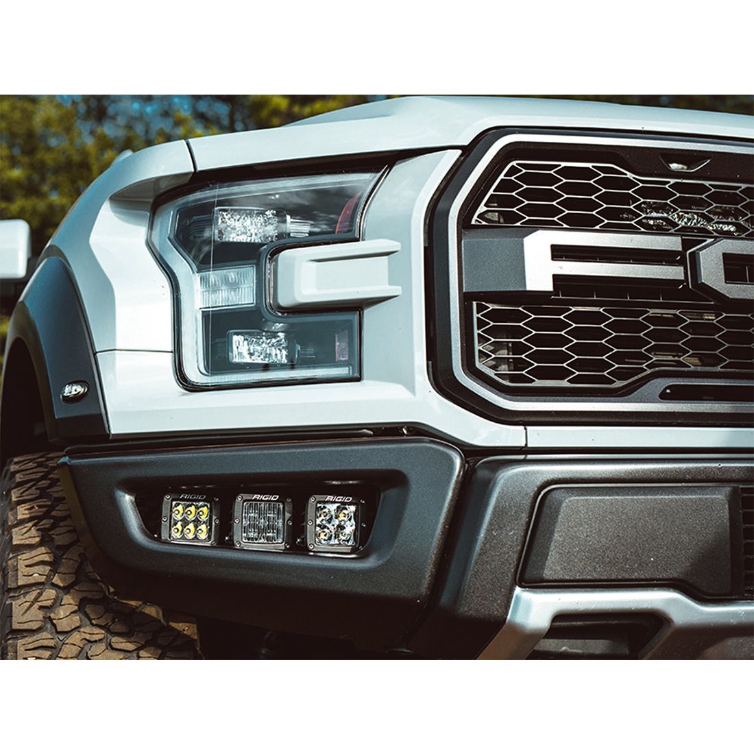 RIGID Industries 17-18 Ford Raptor Fog Light Kit Includes Mounts and 6 D-Series, Application